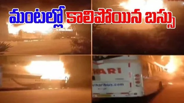 vihari travells bus fire accident
